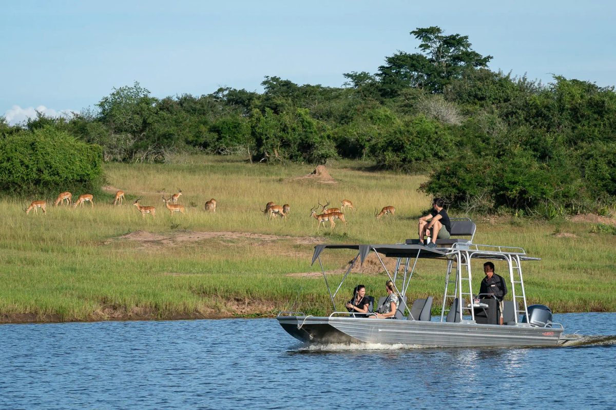 8-Day Gorillas in Volcanoes National Park & Big 5 Safari in Akagera