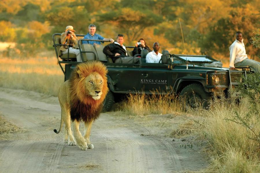 7 Day Sumptuous Timbavati And Sabi Sand Safari