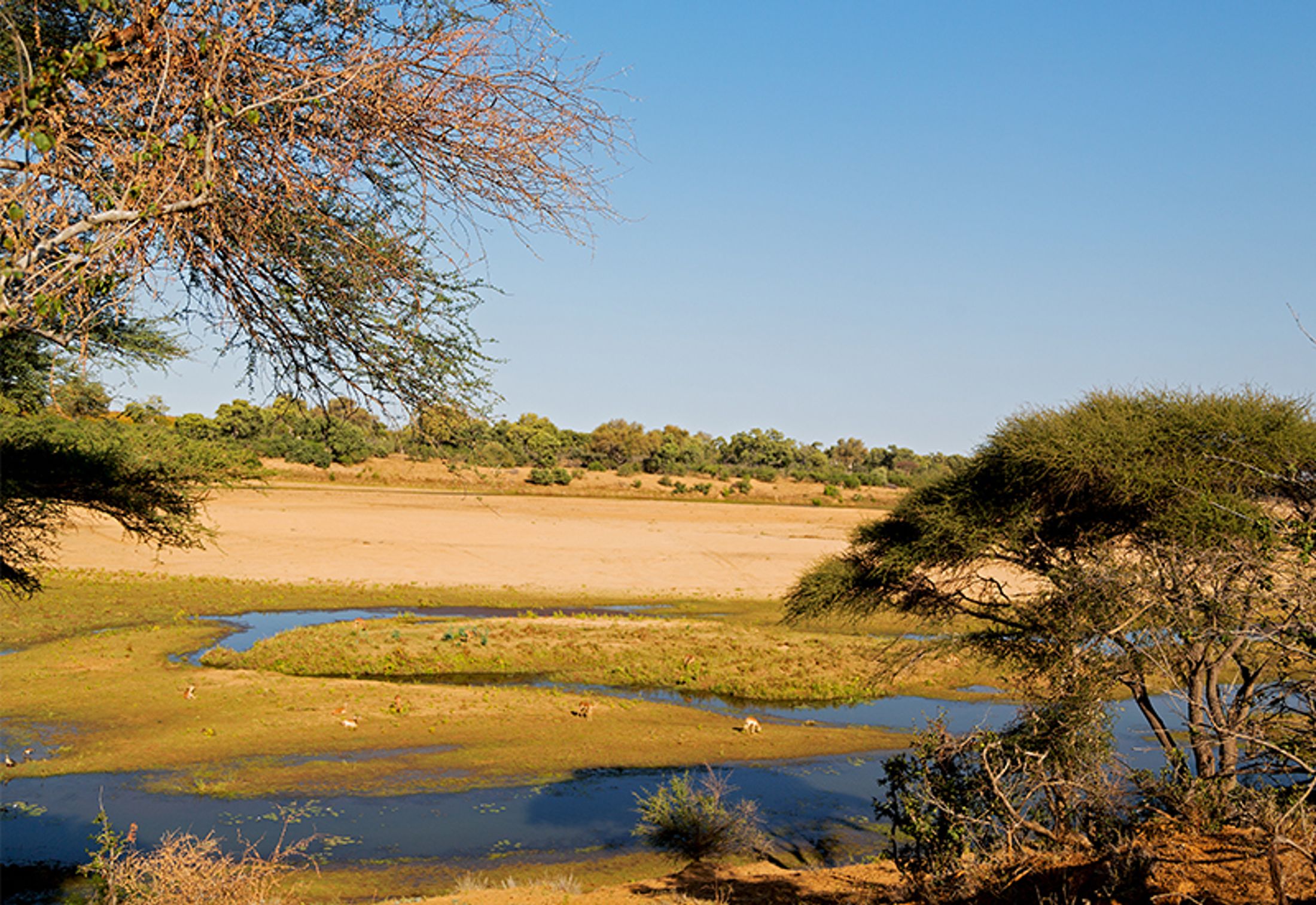 Kruger by Region: the Far North
