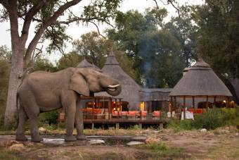 4 Day All-Inclusive Kruger Safari with Hoyo Hoyo