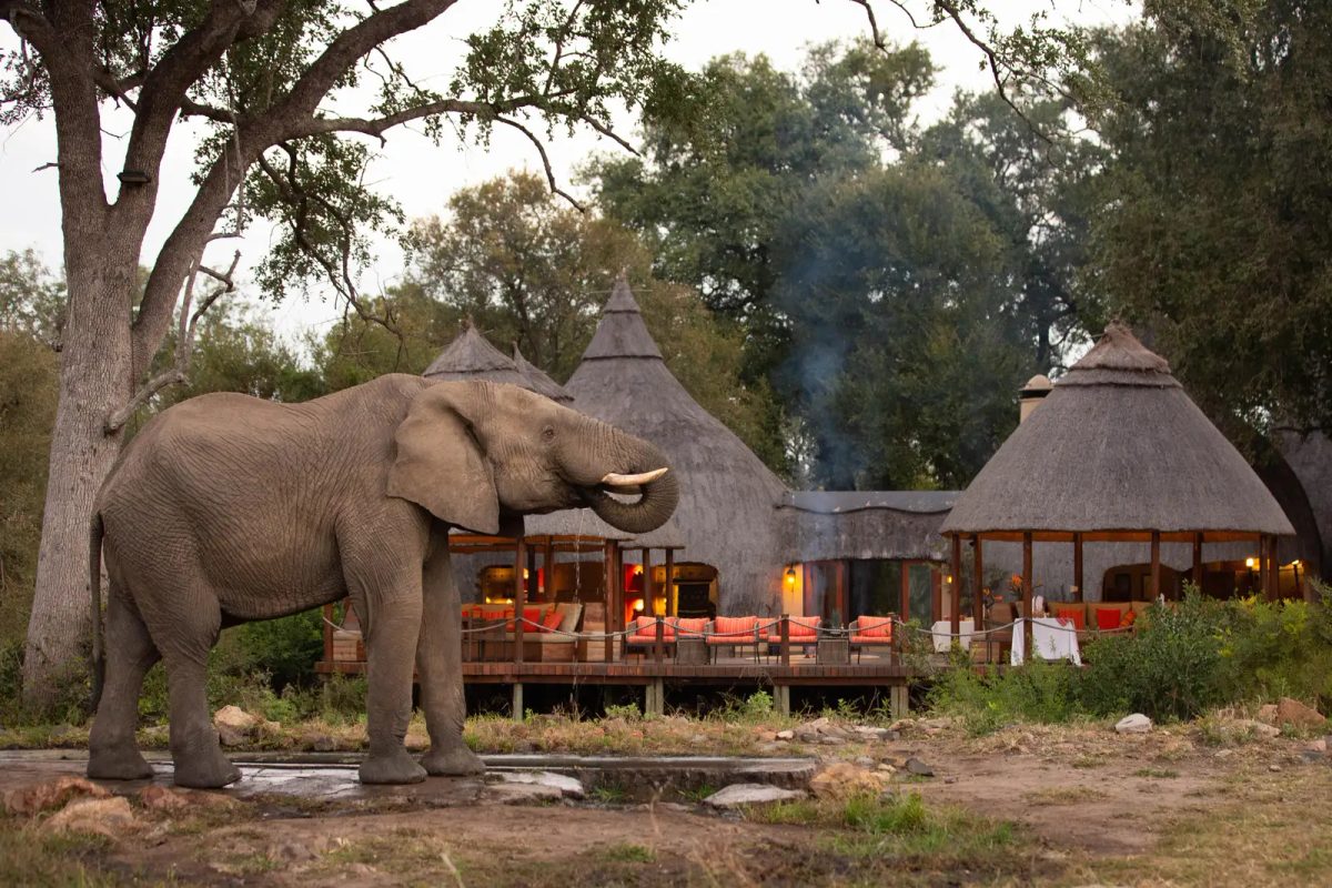 4 Day All-Inclusive Kruger Safari with Hoyo Hoyo