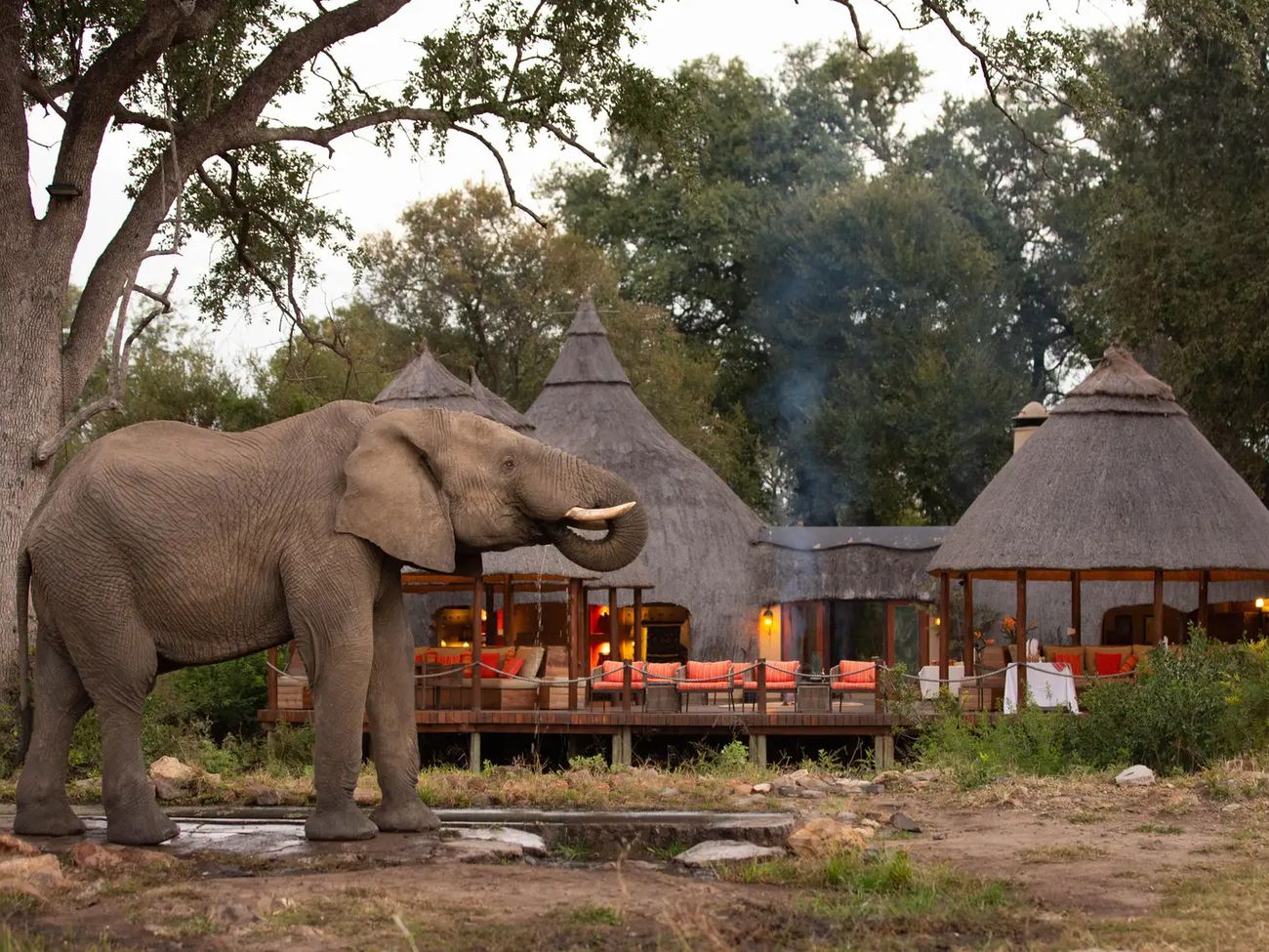 4 Day All-Inclusive Kruger Safari with Hoyo Hoyo