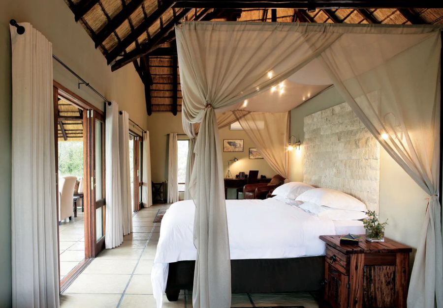 8-Day Journey: Safari, Cellars & City Lights
