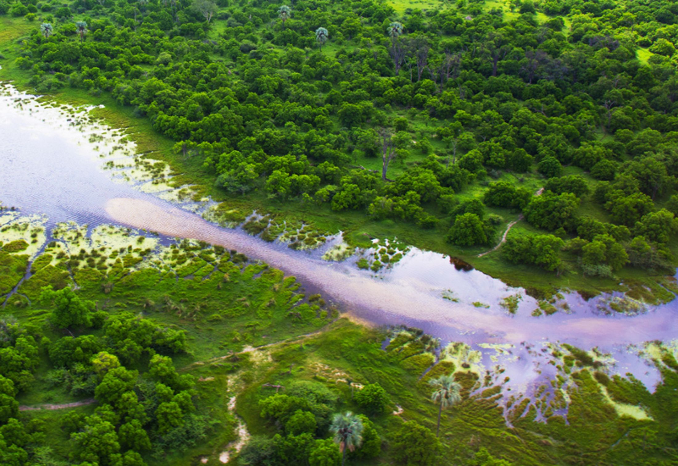 Green Season: Africa's Biggest Secret