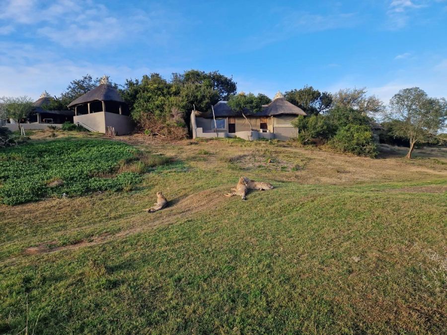 Amakhala Safari Lodge