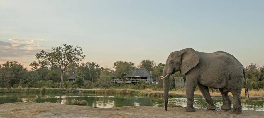 Simbambili Game Lodge