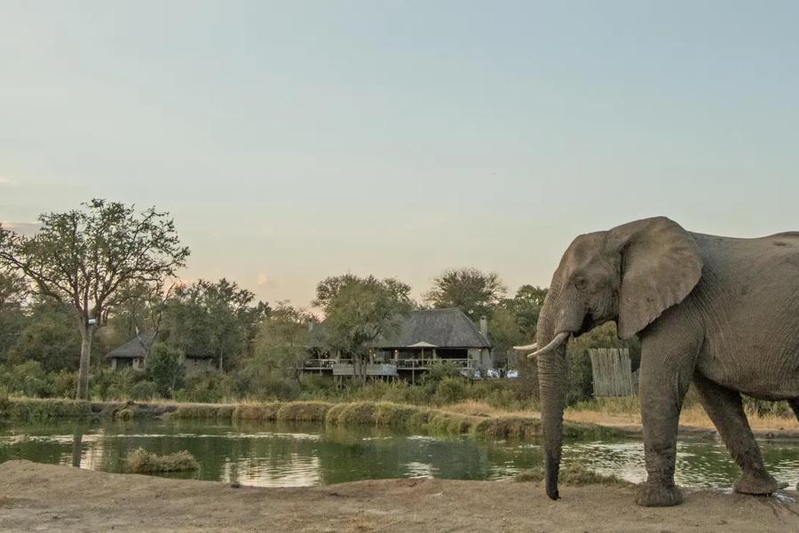 Simbambili Game Lodge