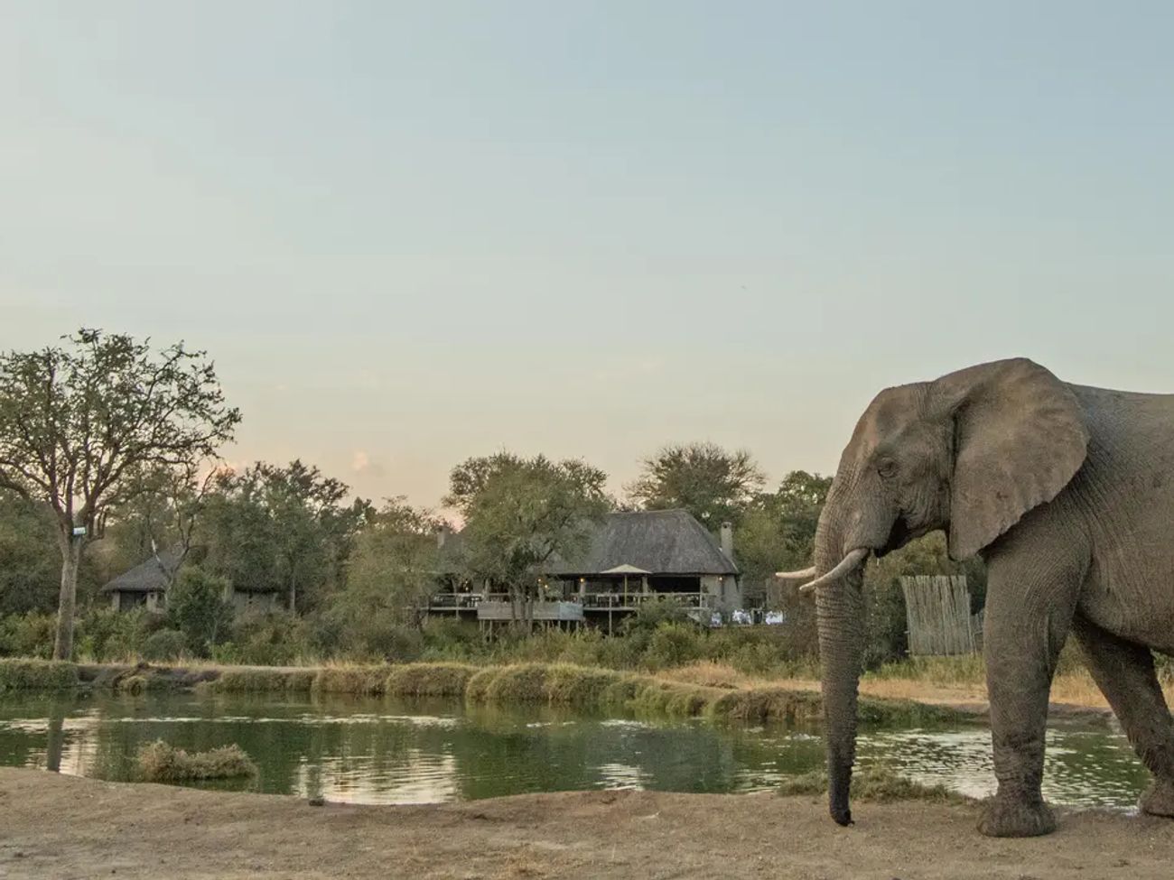 Simbambili Game Lodge