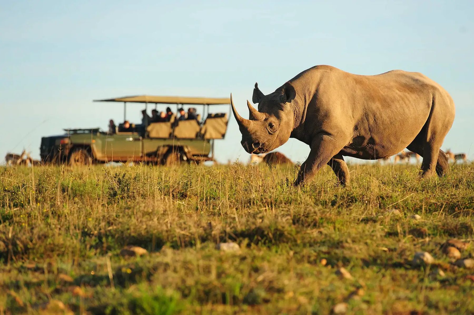 Shamwari Game Reserve