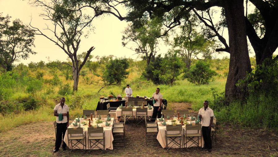 5-Day Ultimate Fly-In Luxury Sabi Sand Safari