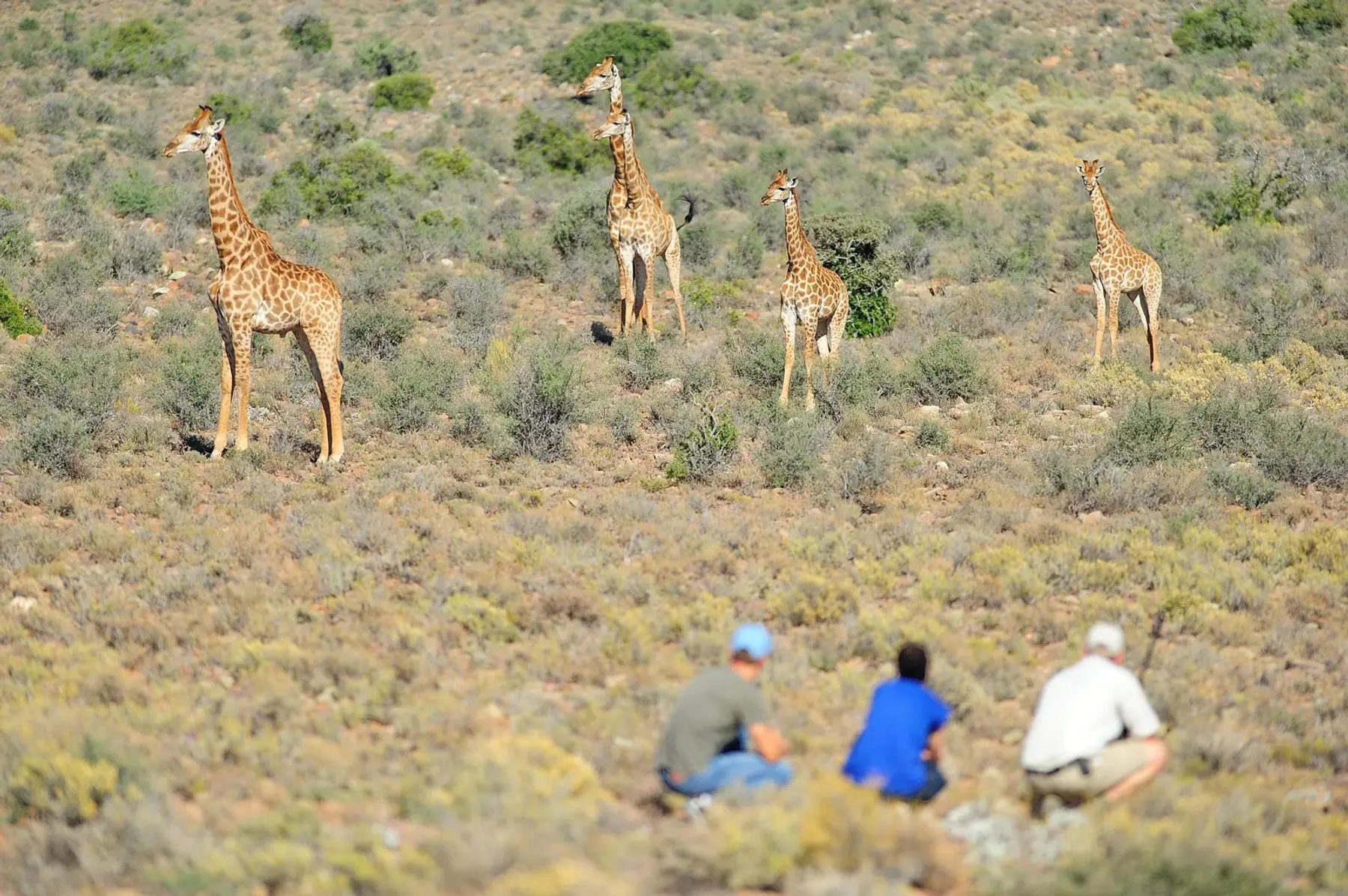 Sanbona Wildlife Reserve