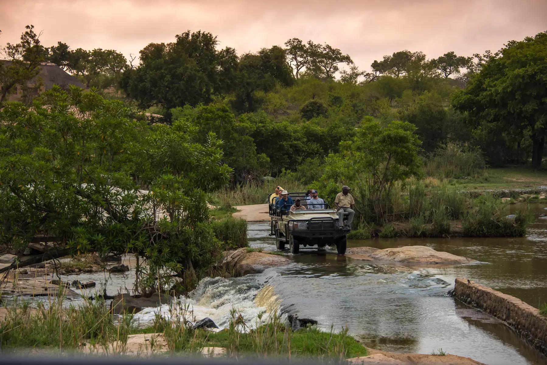 8-Day Big Five & Fine Wines