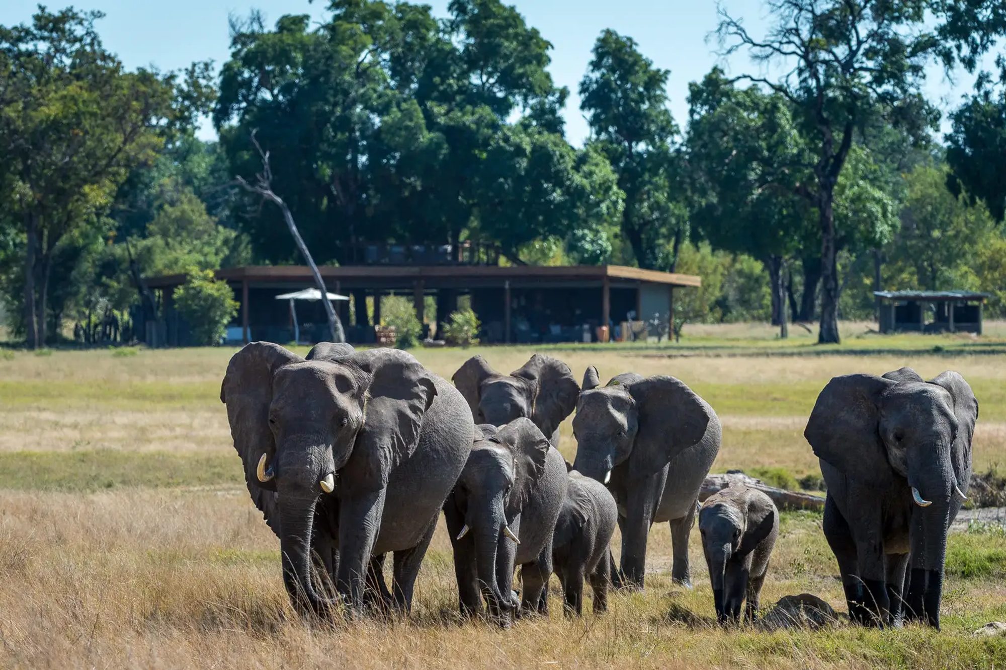 Malilangwe reserve
