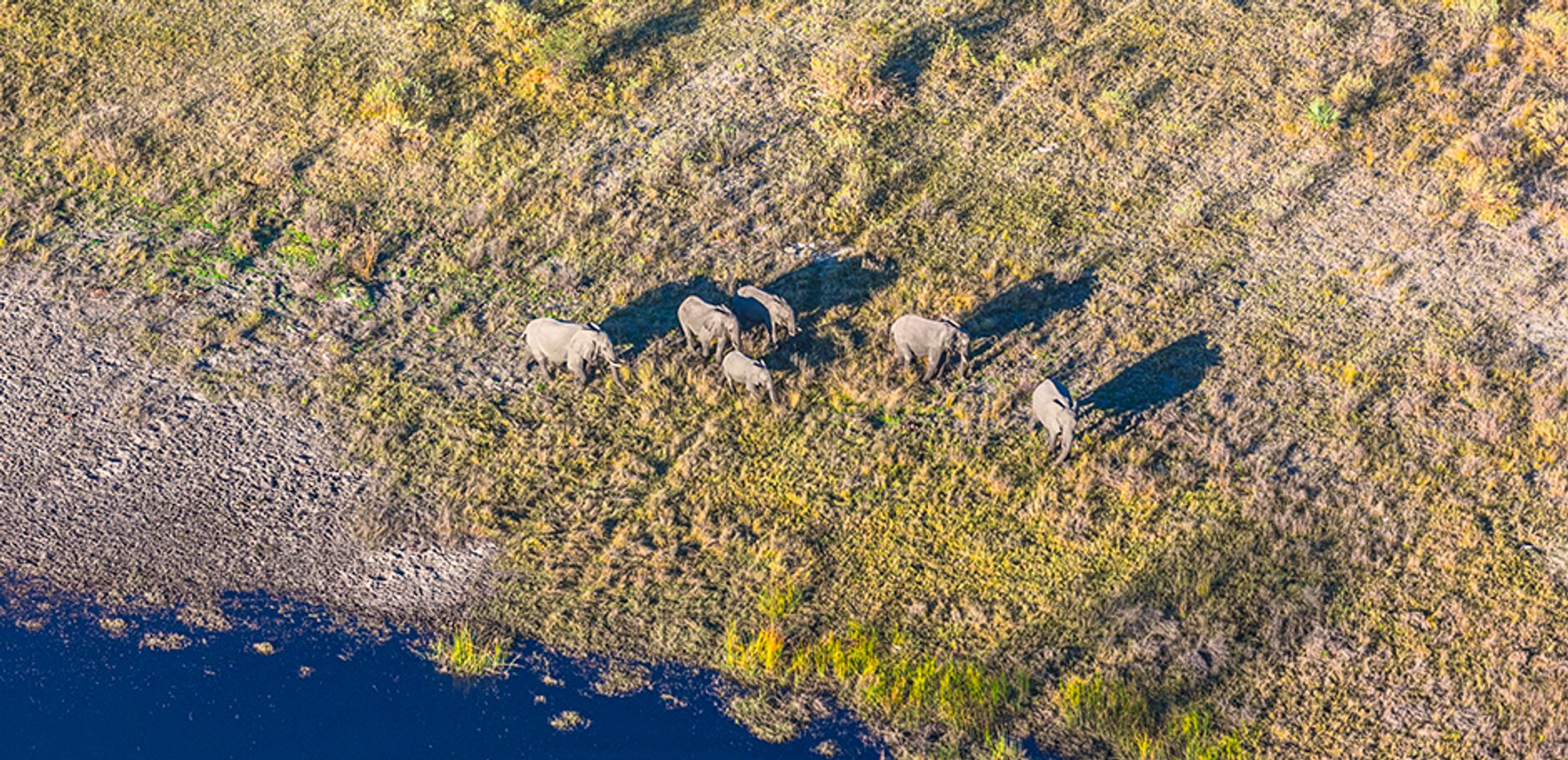 A Traveler's Guide to Botswana: Where and When to Travel
