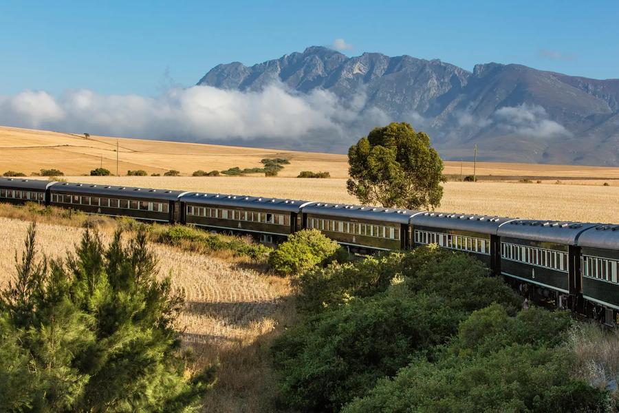 12-Day Rovos Rail Namibia to South Africa Safari