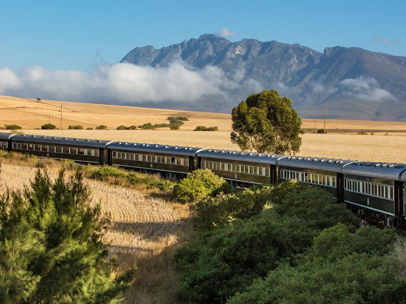 12-Day Rovos Rail Namibia to South Africa Safari