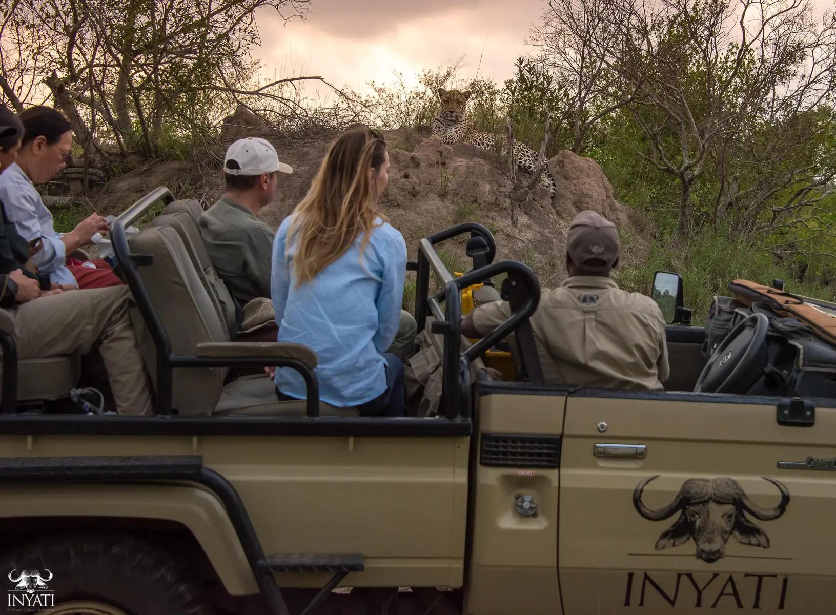 8-Day Big Five & Fine Wines