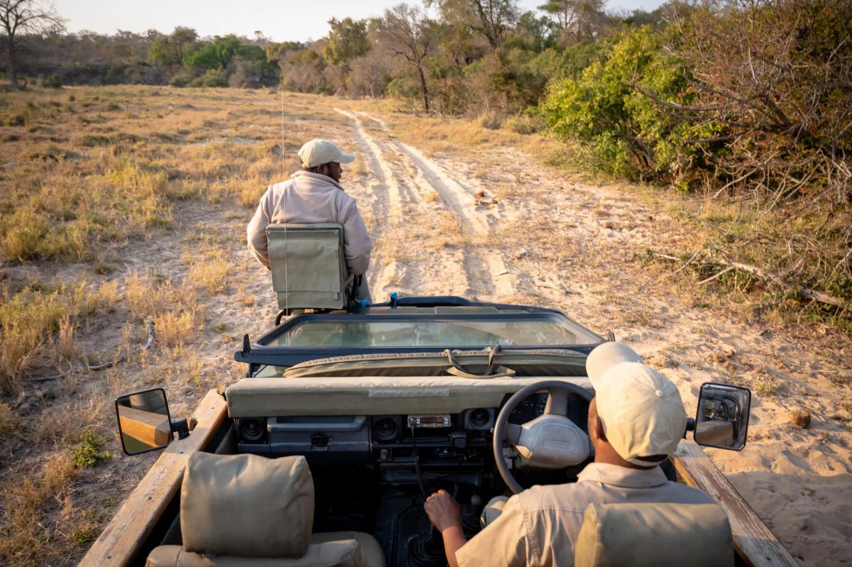 5-Day Thornybush Fly-In Package