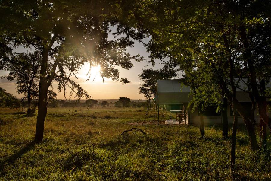 10 Day Bush and Beach Safari