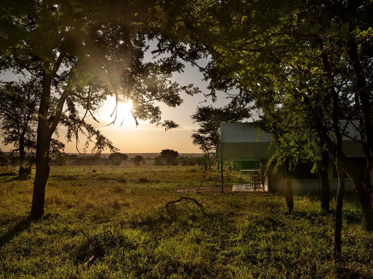 10 Day Bush and Beach Safari