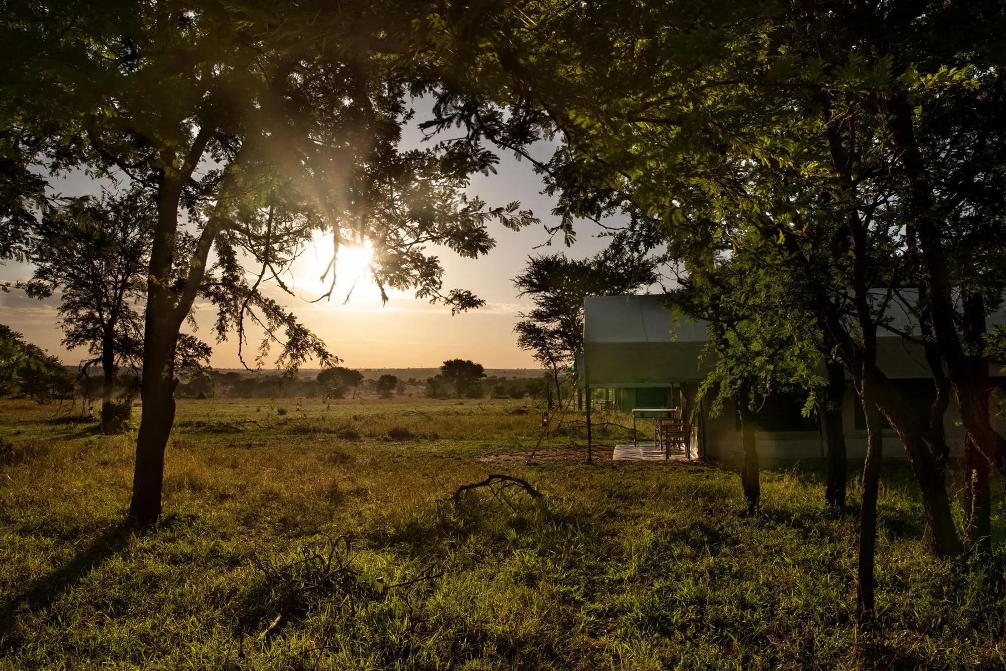 10 Day Bush and Beach Safari