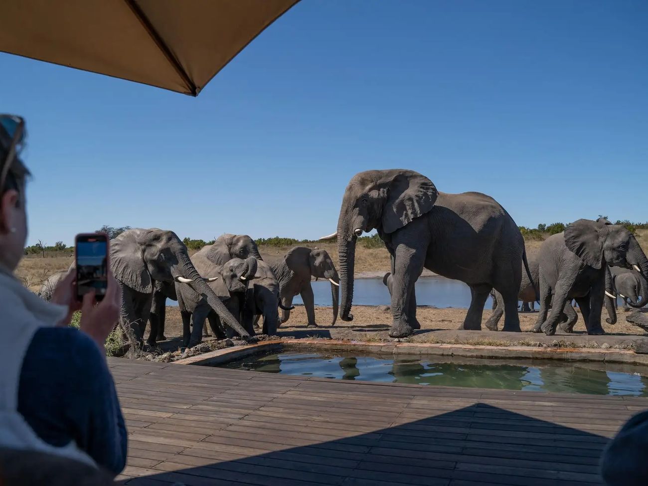 10-Day Scenic Safari Through Zimbabwe