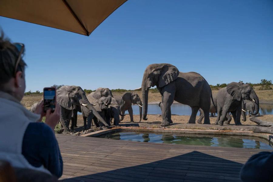 10-Day Scenic Safari Through Zimbabwe