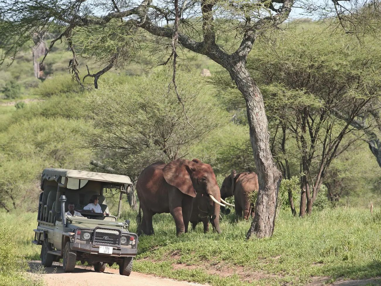 9-Day Northern Circuit Safari of Tanzania