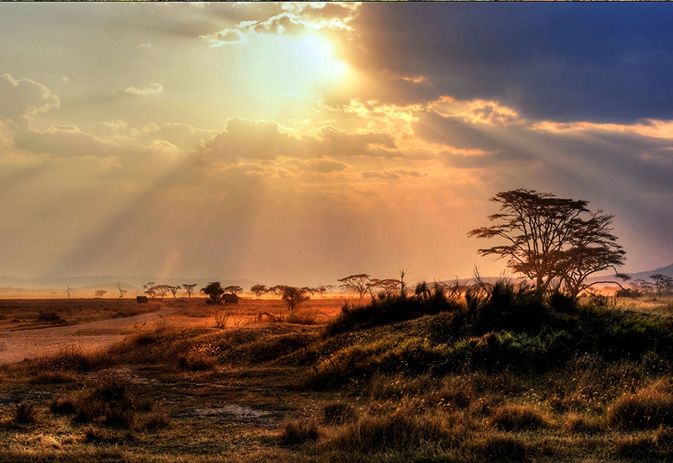 Kruger National Park: Where and When to Travel