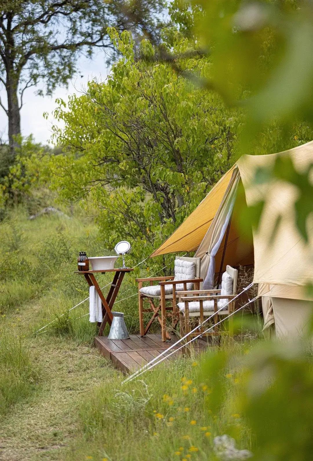 Feline Fields Vintage Camp