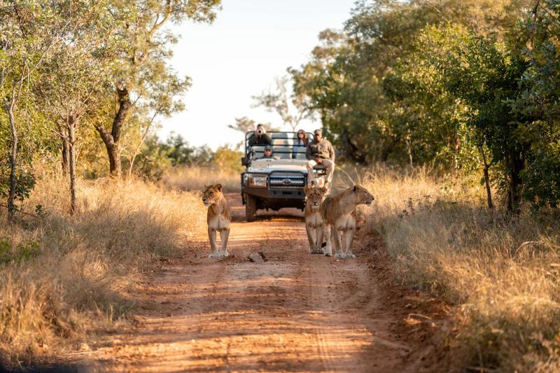 12-Day Cape Town, Kruger and Madikwe Safari