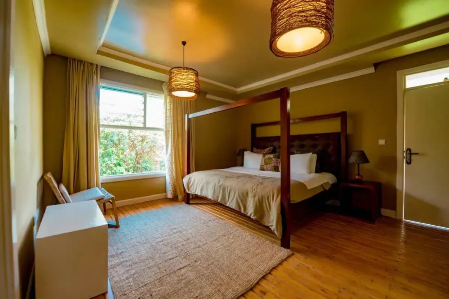 4-Day Rwanda Gorilla and Golden Monkey Trekking Adventure: Affordable & Unforgettable