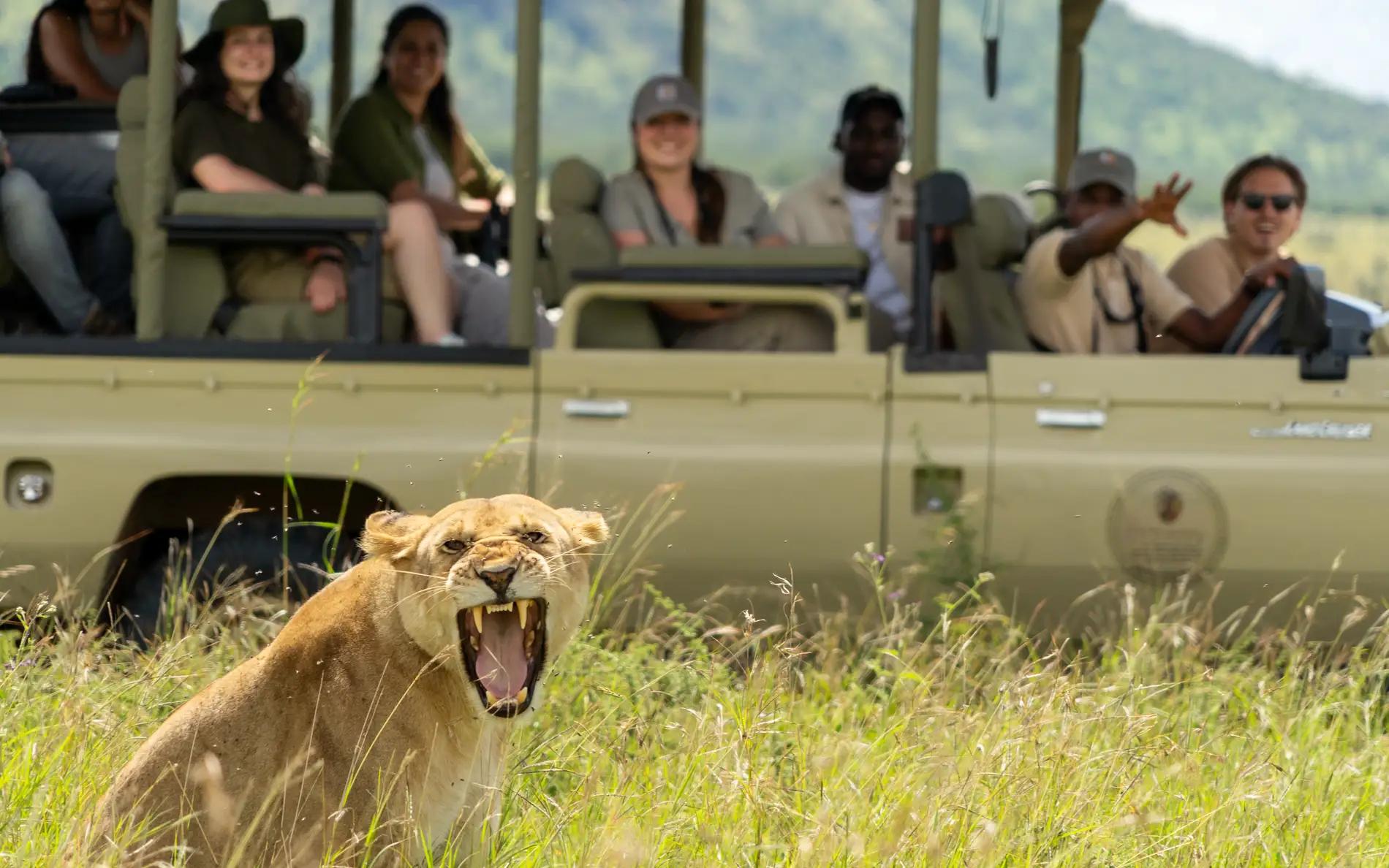 Kimarishe Serengeti Lodge