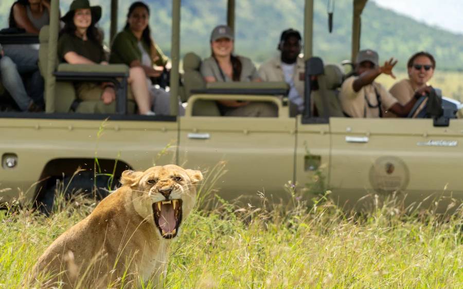 Kimarishe Serengeti Lodge