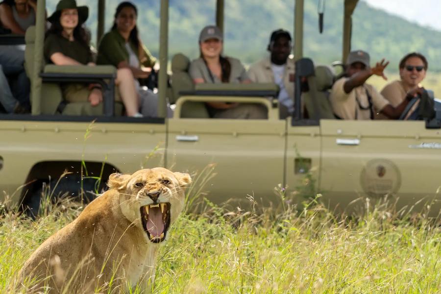 Kimarishe Serengeti Lodge