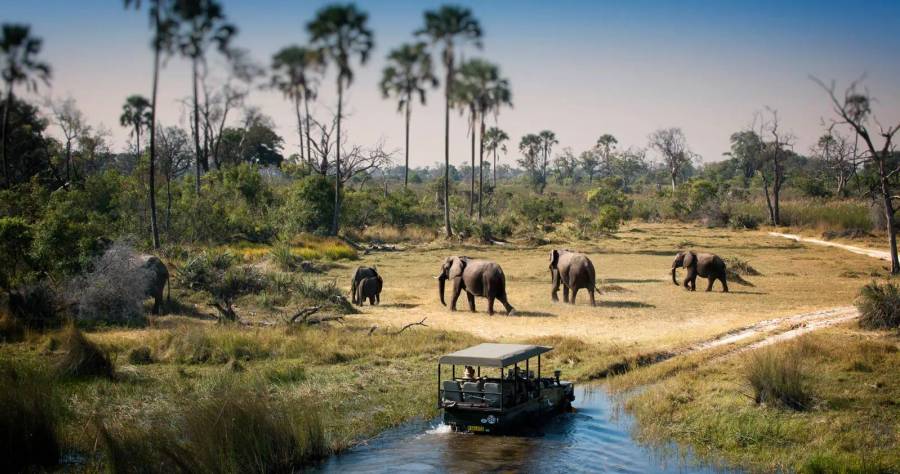11 Day Botswana Luxury Safari