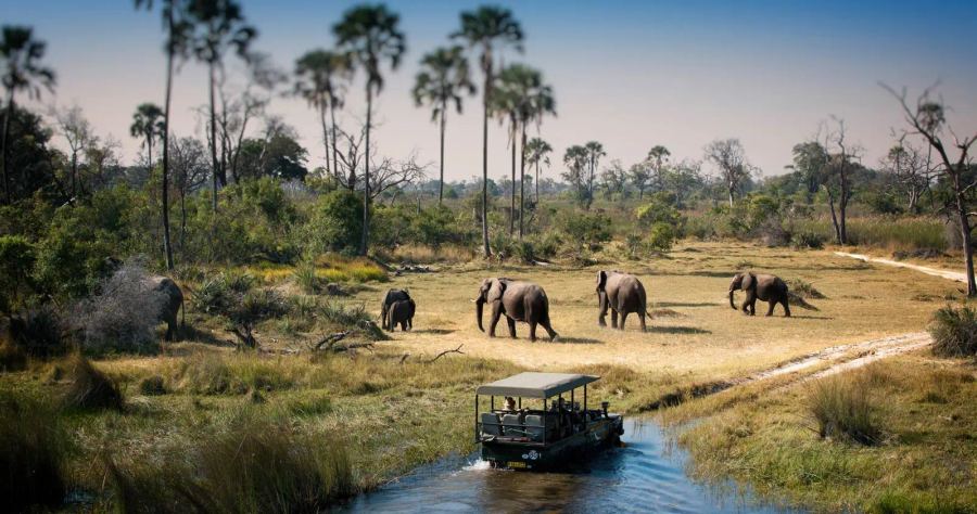 11 Day Botswana Luxury Safari
