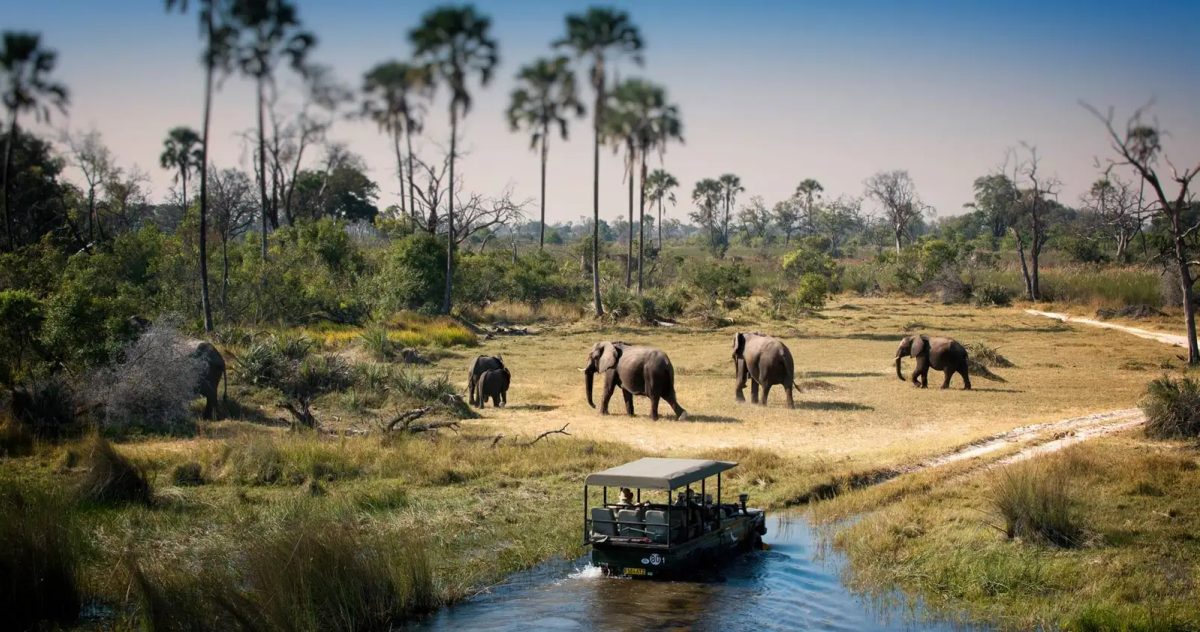 11 Day Botswana Luxury Safari