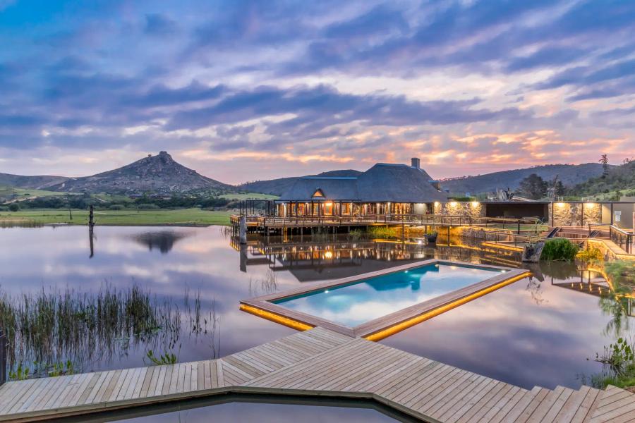 4-Day Malaria-Free Botlierskop Safari