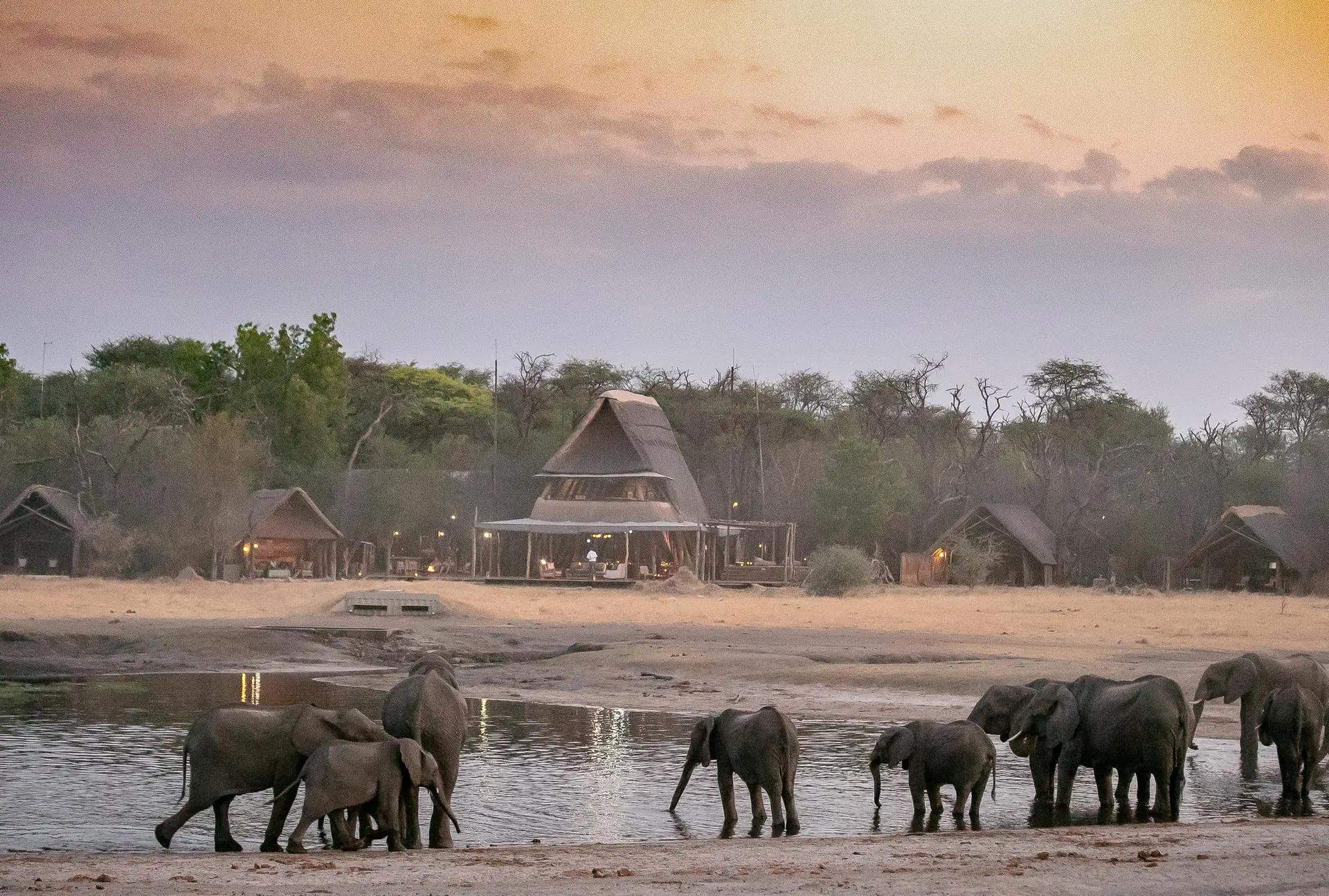 The Hide Hwange