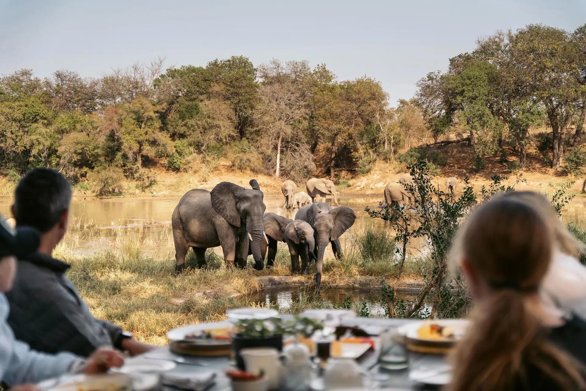 Simbavati River Lodge