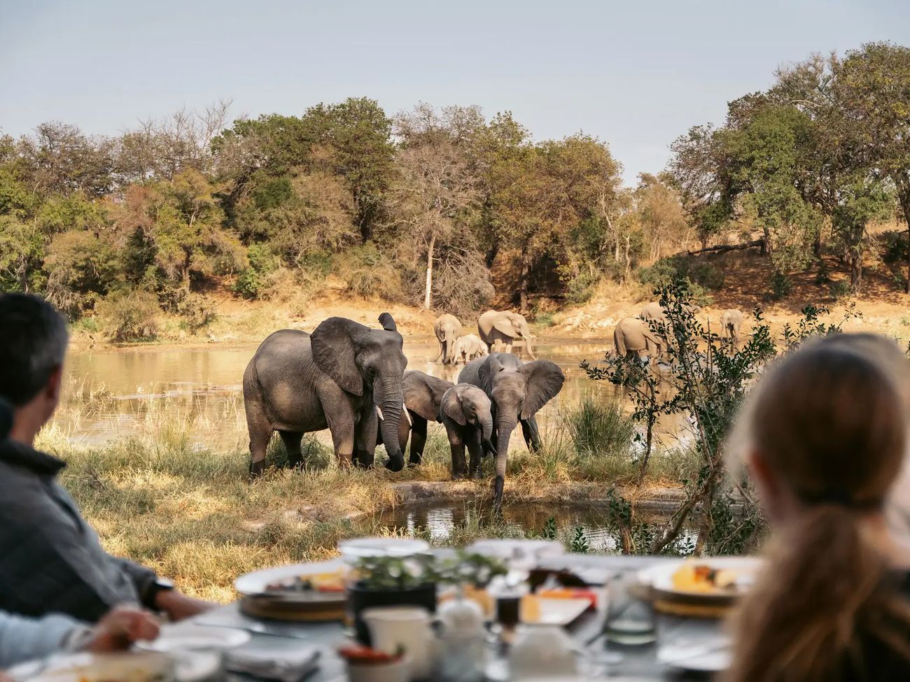 Simbavati River Lodge