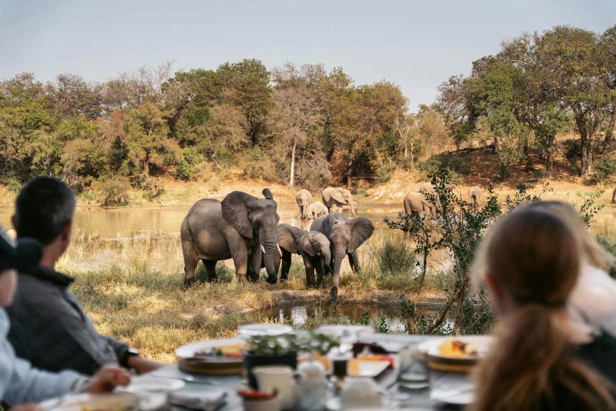 Simbavati River Lodge
