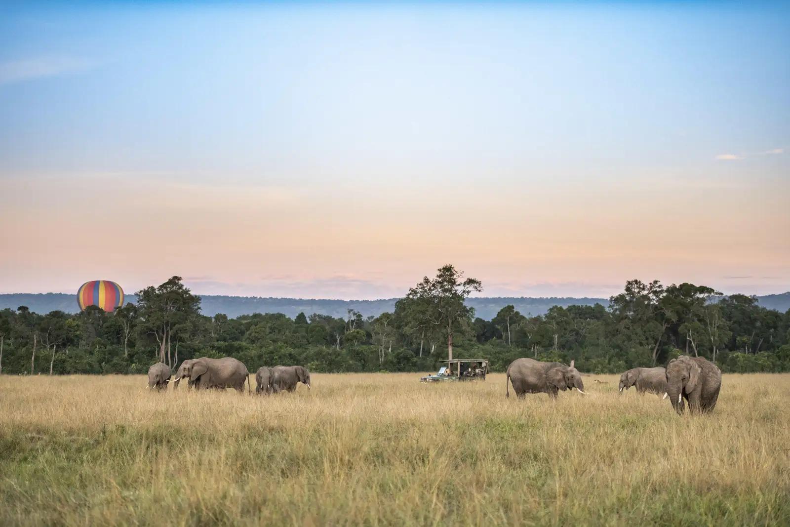 3-Day Masai Mara Fly-in Safari with Governors Camp
