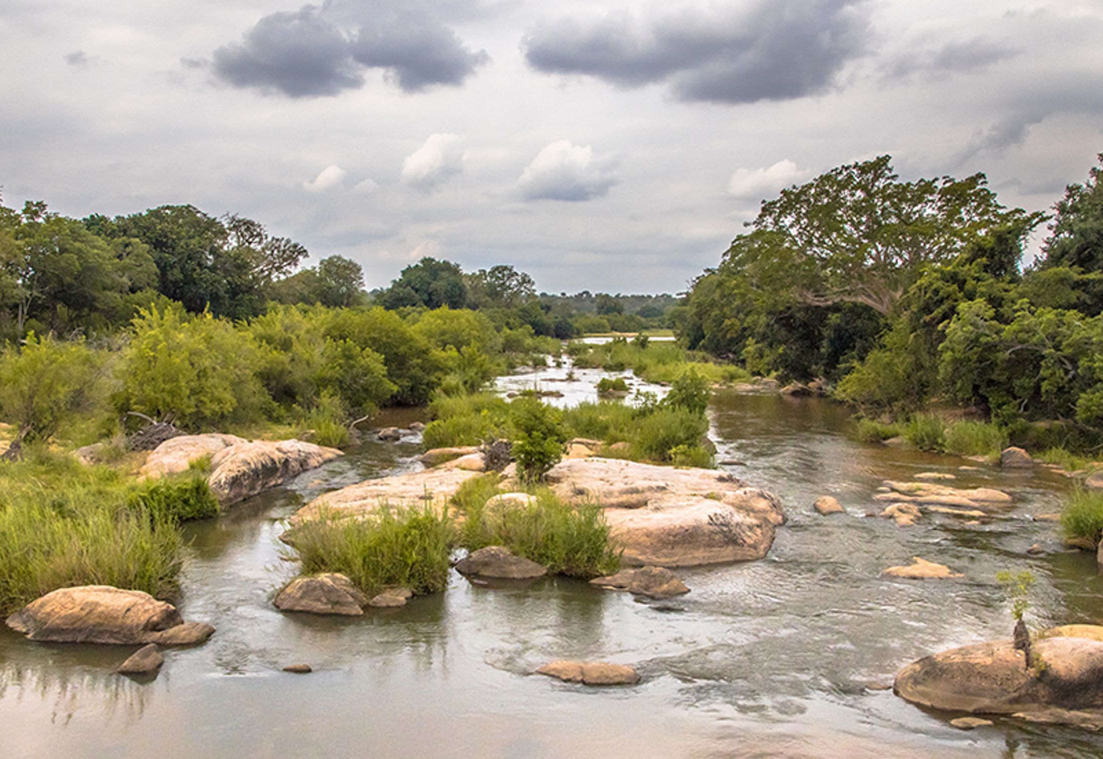 Top 5 SANParks Camps in South Africa