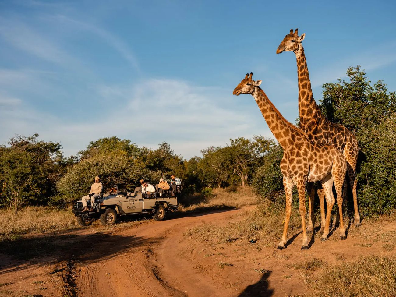 7-Day Safari in Kapama Game Reserve and Victoria Falls