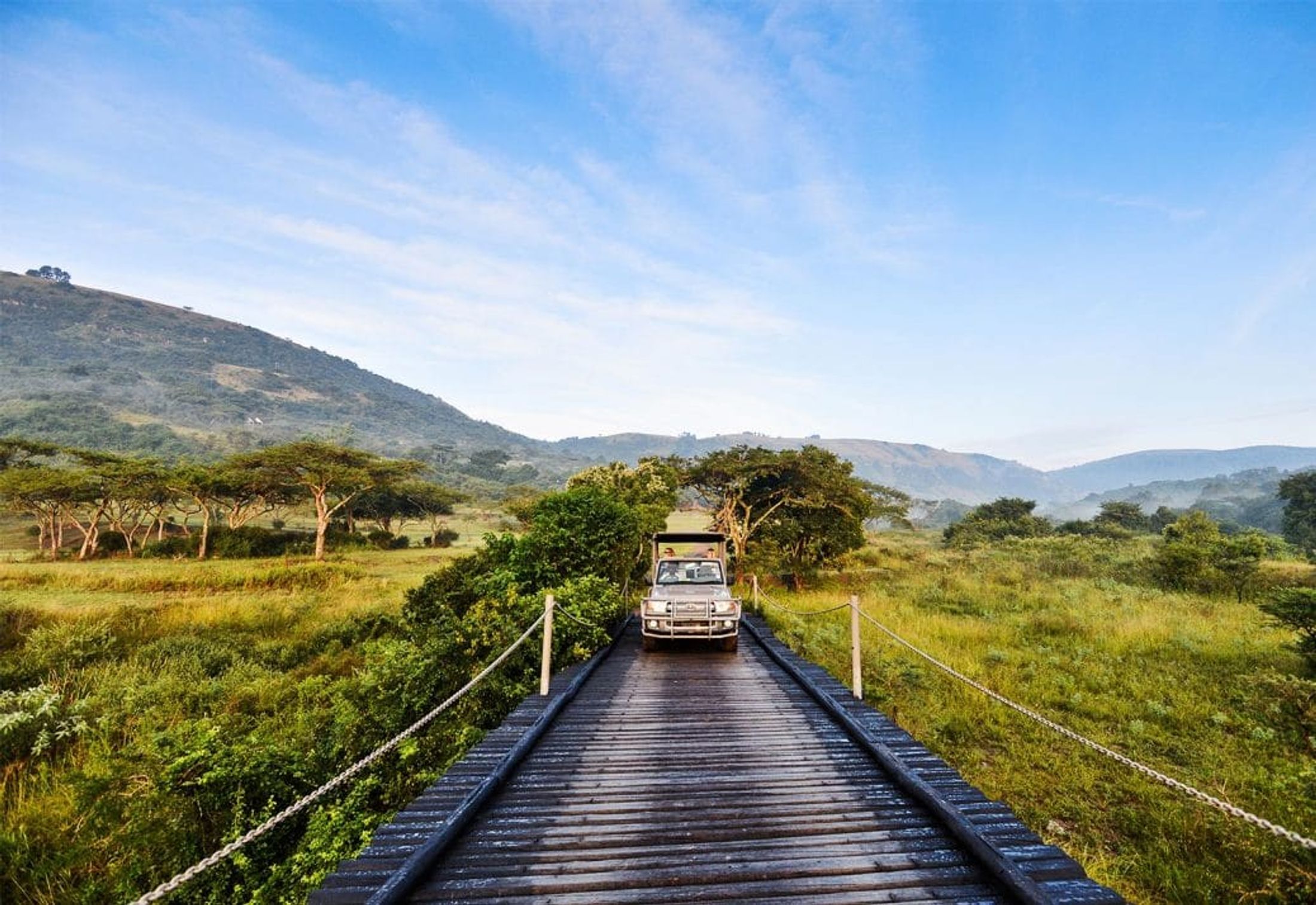 How to Find an Affordable African Safari