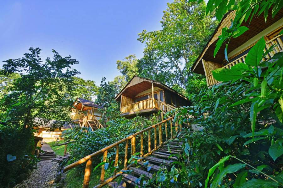 6-Day Uganda Primate Safari Adventure