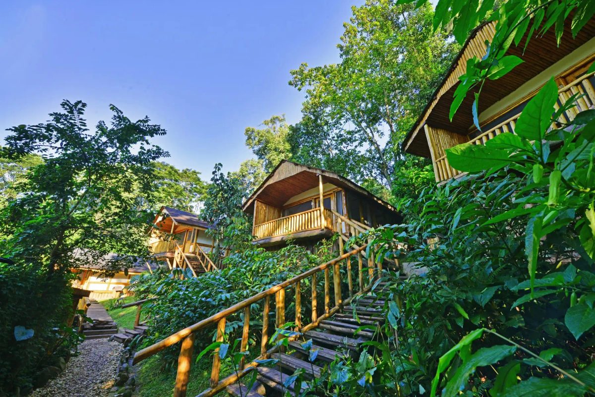 6-Day Uganda Primate Safari Adventure