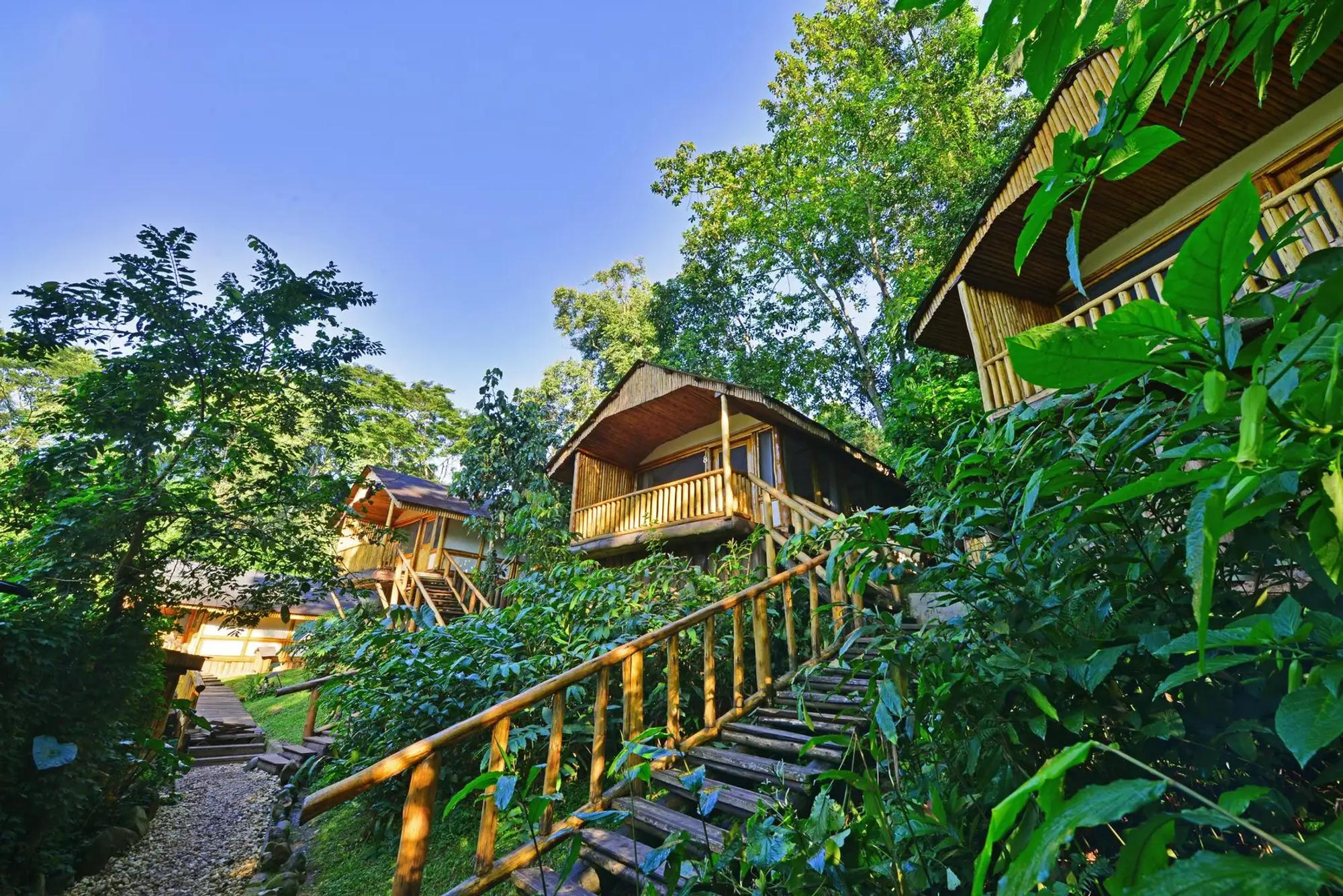 6-Day Uganda Primate Safari Adventure